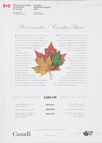 yp街机·电子游戏(中国)最新官网